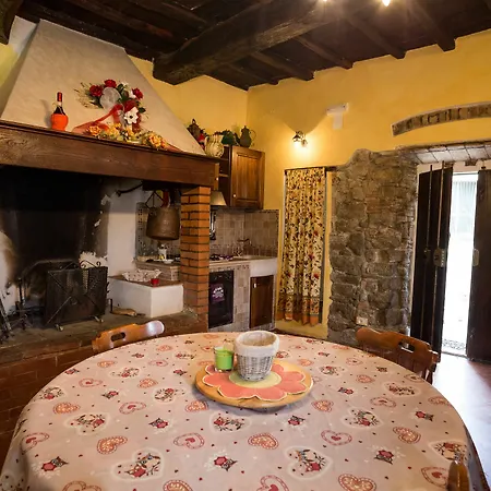 Authentic Chianti Stonehouse With Garden&terrace Apartment